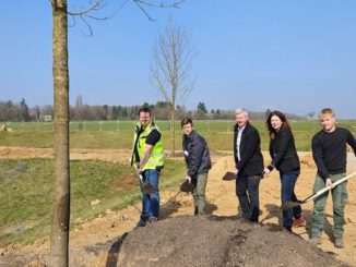 Bierstadt Nord: 83 Bäume und Spielangebote auf neuer zentraler Grünfläche geplant