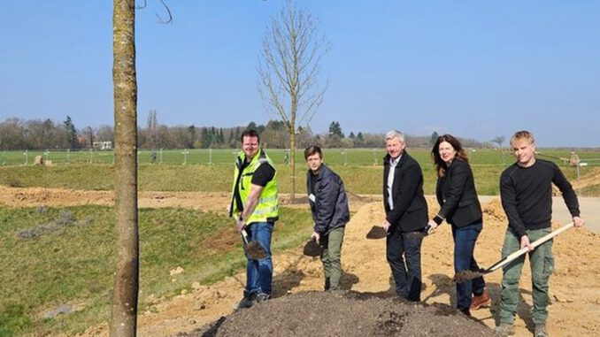 Bierstadt Nord: 83 Bäume und Spielangebote auf neuer zentraler Grünfläche geplant