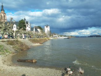 Eltville rekonstruiert historisches Geländer am Rheinufer mit originalgetreuer Nachbildung und Sicherheitsnetz