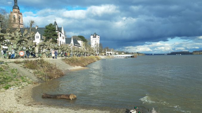 Eltville rekonstruiert historisches Geländer am Rheinufer mit originalgetreuer Nachbildung und Sicherheitsnetz