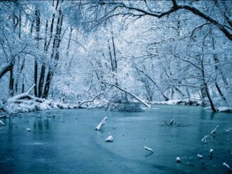 Wiesbaden warnt vor Betreten von Eisflächen: Lebensgefahr besonders im Schiersteiner Hafen