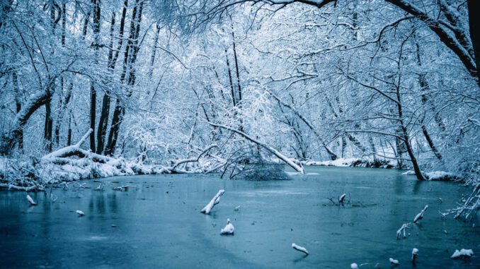Wiesbaden warnt vor Betreten von Eisflächen: Lebensgefahr besonders im Schiersteiner Hafen Wiesbaden warnt vor Betreten von Eisflächen: Lebensgefahr besonders im Schiersteiner Hafen